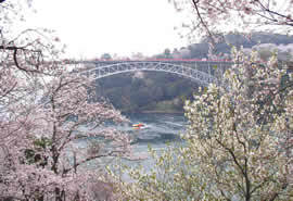 長崎県立西海橋公園の写真