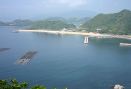 結の浜マリンパークの写真