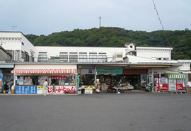 千々石観光センター(千鶏カステラ本舗)の写真