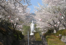 眉山治山祈念公苑の写真