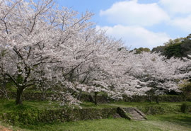 花の森公園の写真