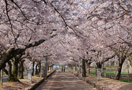 大村公園の写真