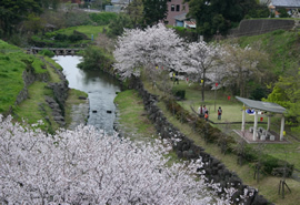 橘公園の写真