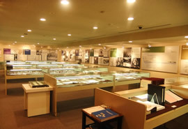 十八銀行 史料展示室の写真