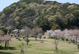 神話の里自然公園の写真