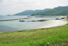 荒崎海水浴場の写真