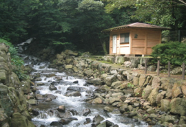 柚木川内キャンプ場の写真