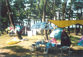 野田浜キャンプ場の写真
