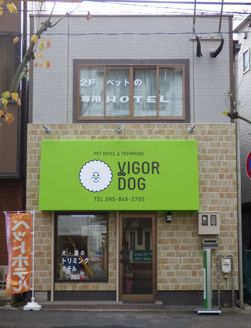 VIGOR DOGの写真